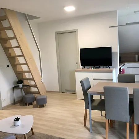 Apartment Krusne Hory - Erzgebirge Horni Blatna