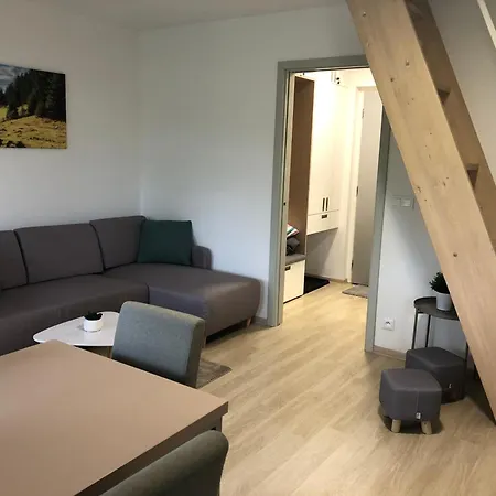 Krusne Hory - Erzgebirge Apartment *