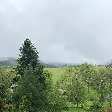 Apartment Krusne Hory - Erzgebirge Horni Blatna