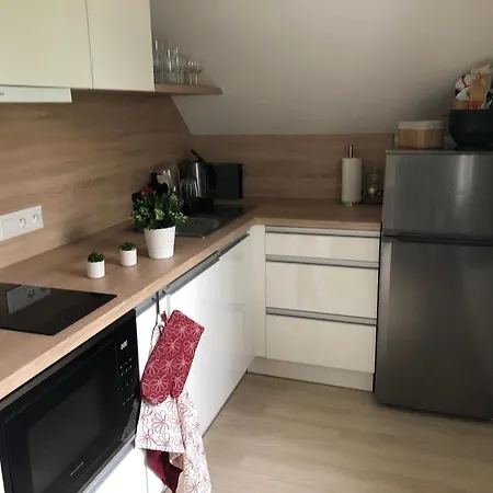 Krusne Hory - Erzgebirge Apartment Horni Blatna